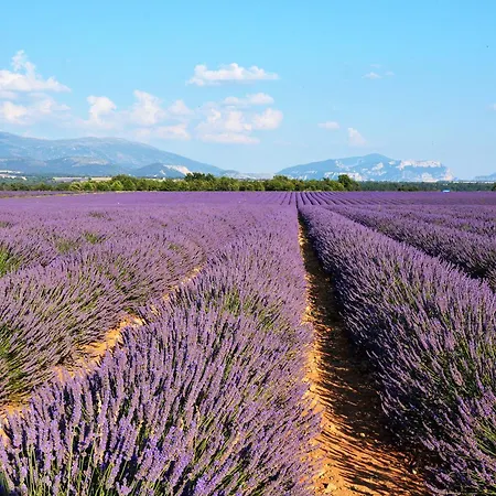 Entre Les Alpilles Et Le Luberon 3 10 Pers Vakantiehuis Cavaillon